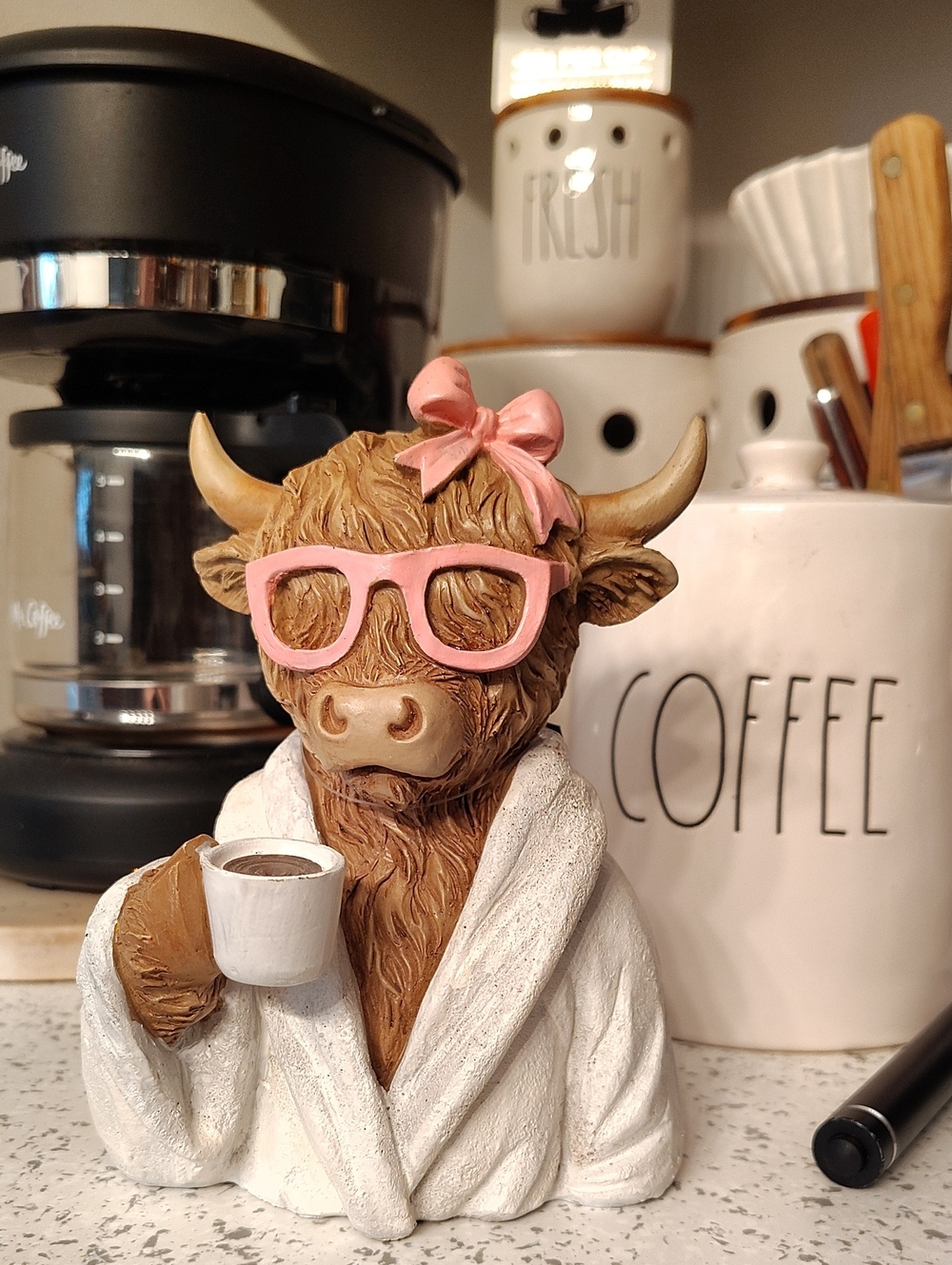 Highland Cow